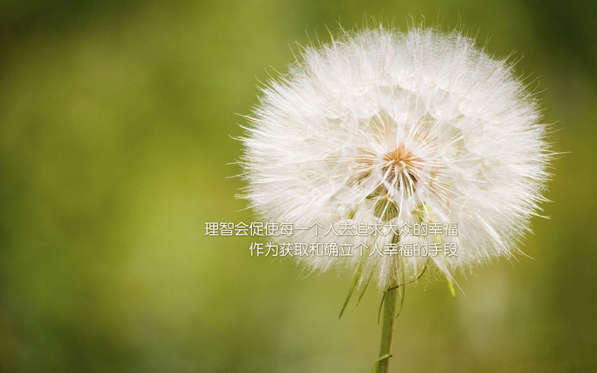 【战术创新】球队如何利用新规则取得优势,球队规章制度