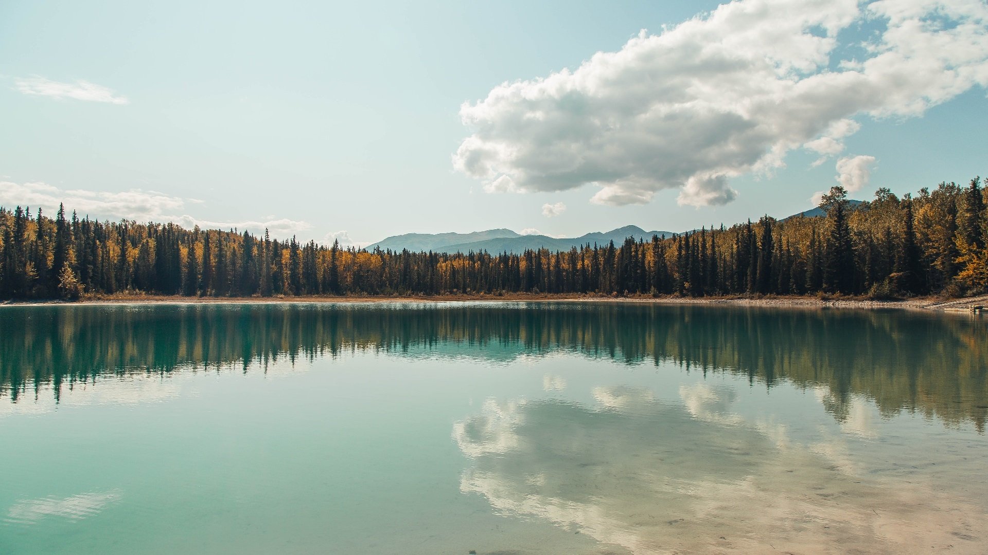开云官方网站-“英超强强对话：豪门对决激烈上演，榜首之争白热化”，英超豪门多