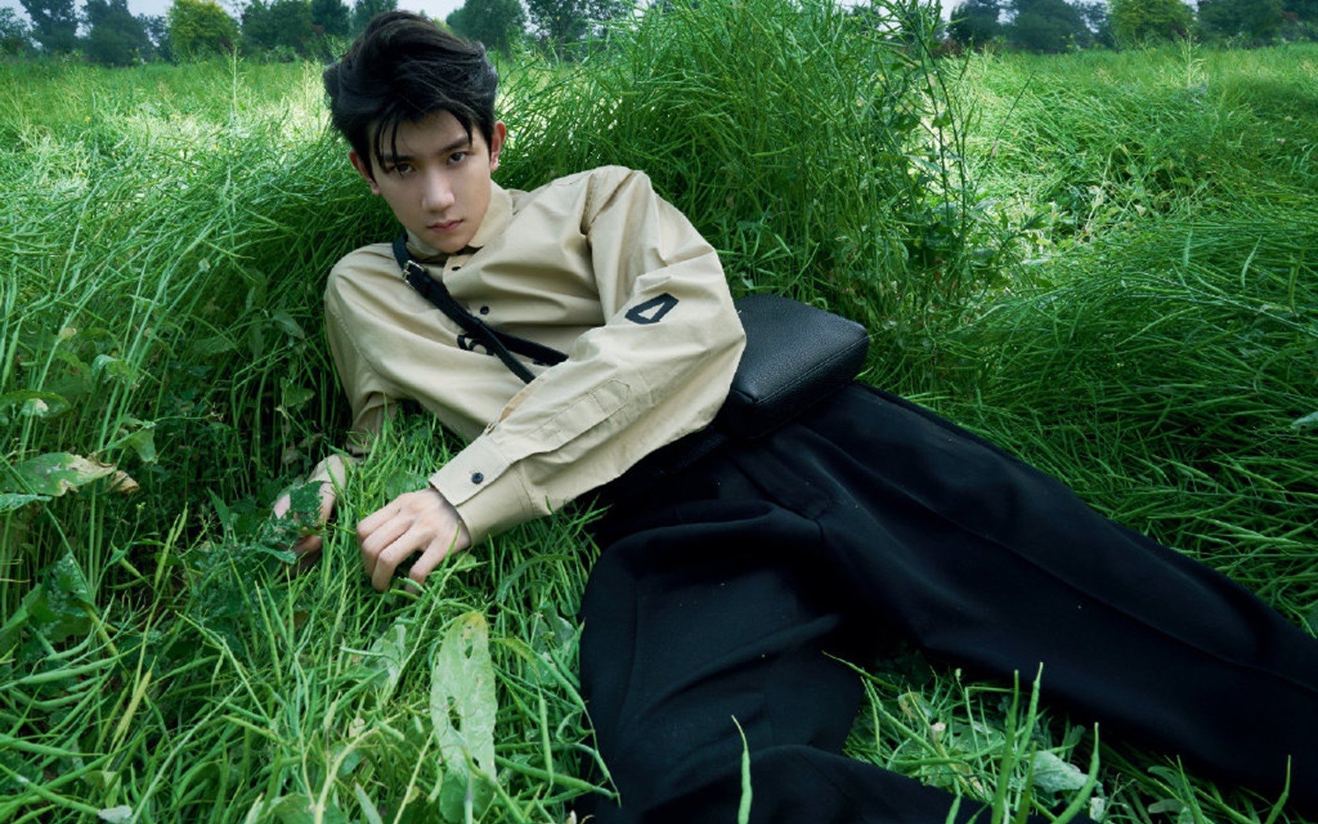 “豪车飙速:性能与美学的巅峰演绎”,豪车飙车电影