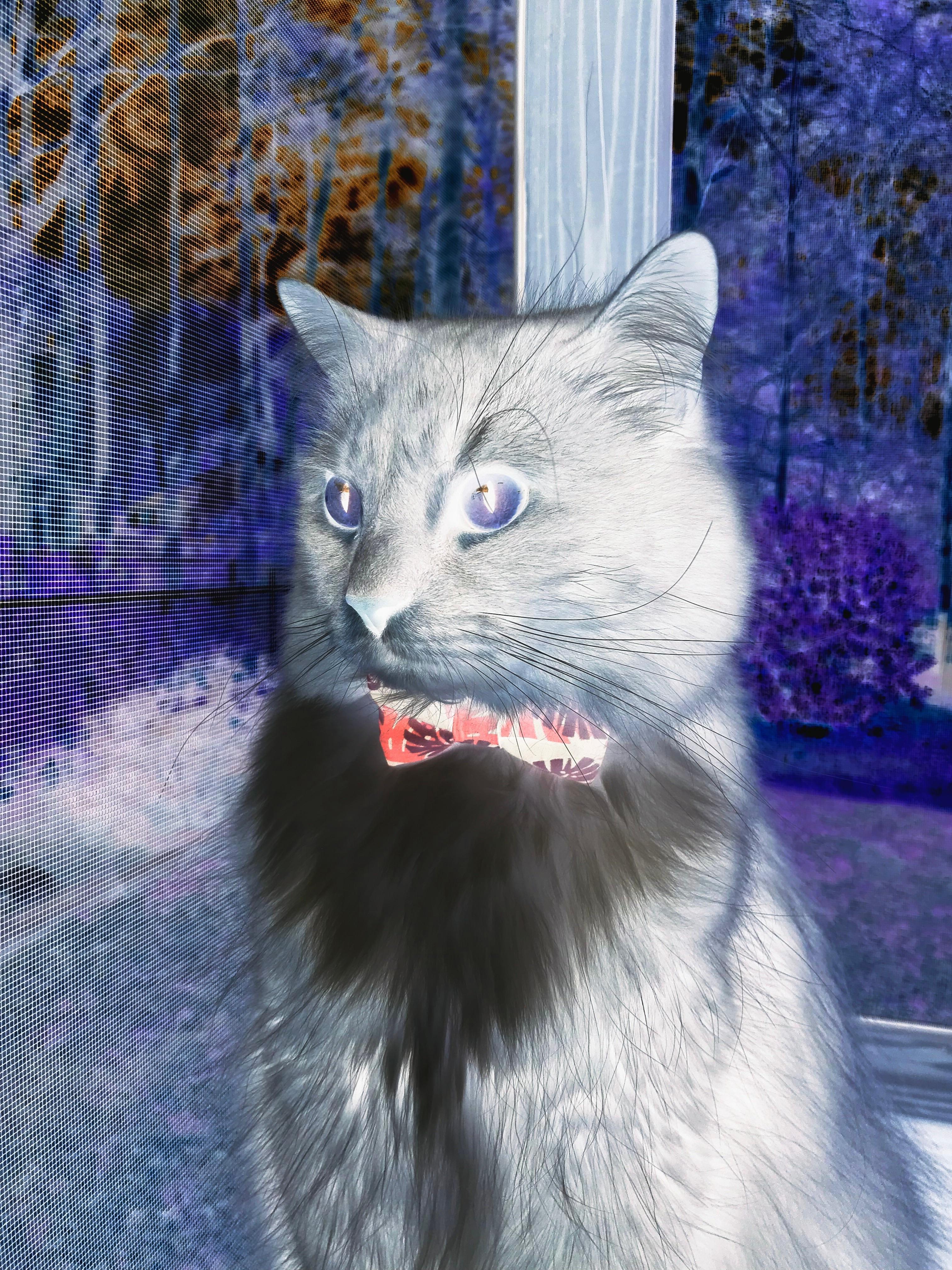 史上最“炫炸”的三分表演：库里在对阵雷霆比赛中投出六个连续三分球！